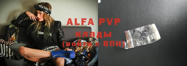 стаф Алзамай