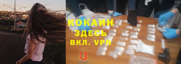стаф Алзамай